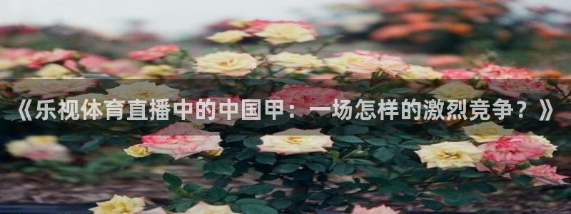 《乐视体育直播中的中国甲：一场怎样的激烈竞争？》