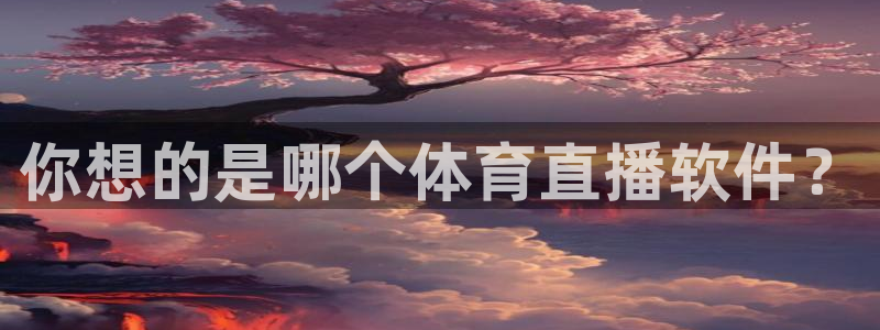 你想的是哪个体育直播软件？