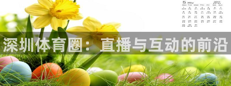 深圳体育圈：直播与互动的前沿