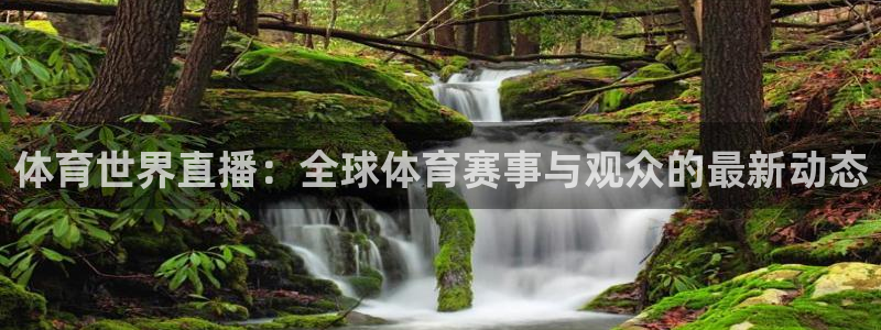 体育世界直播：全球体育赛事与观众的最新动态