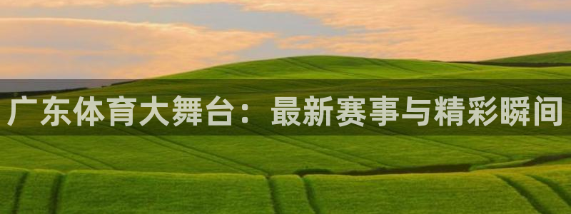 广东体育大舞台：最新赛事与精彩瞬间