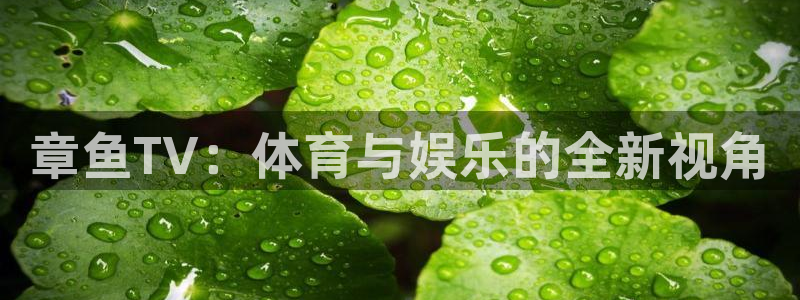 章鱼TV：体育与娱乐的全新视角